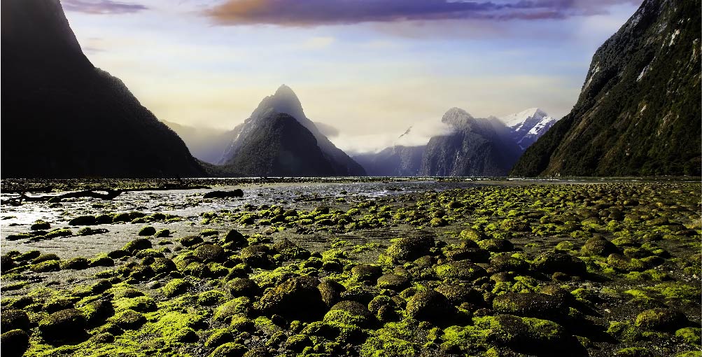 Nouvelle-Zélande