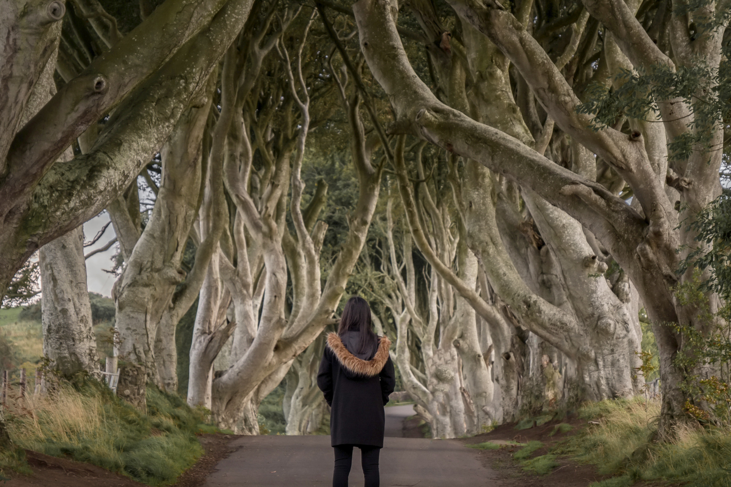 Lieux emblématiques de Game of Thrones en Irlande du Nord